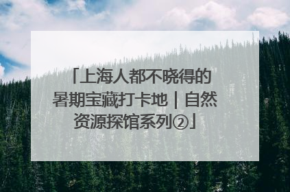 上海人都不晓得的 暑期宝藏打卡地｜自然资源探馆系列②