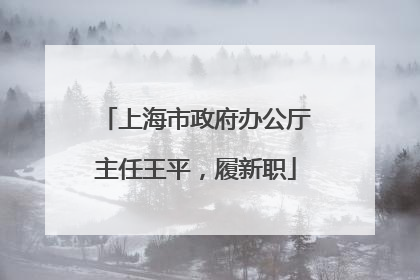 上海市政府办公厅主任王平，履新职