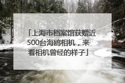 上海市档案馆获赠近500台海鸥相机，来看相机曾经的样子