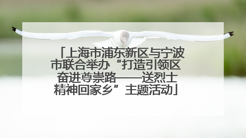 上海市浦东新区与宁波市联合举办“打造引领区 奋进尊崇路——送烈士精神回家乡”主题活动