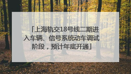 上海轨交18号线二期进入车辆、信号系统动车调试阶段，预计年底开通
