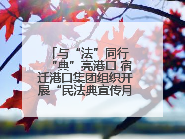 与“法”同行 “典”亮港口 宿迁港口集团组织开展“民法典宣传月”系列活动
