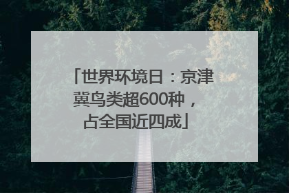 世界环境日：京津冀鸟类超600种，占全国近四成