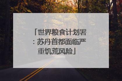 世界粮食计划署：苏丹首都面临严重饥荒风险