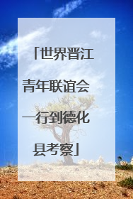 世界晋江青年联谊会一行到德化县考察