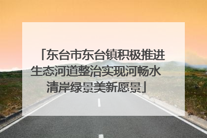 东台市东台镇积极推进生态河道整治实现河畅水清岸绿景美新愿景