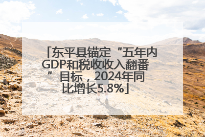 东平县锚定“五年内GDP和税收收入翻番”目标，2024年同比增长5.8%