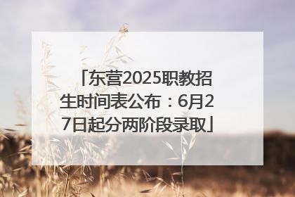 东营2025职教招生时间表公布：6月27日起分两阶段录取