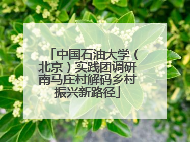 中国石油大学（北京）实践团调研南马庄村解码乡村振兴新路径