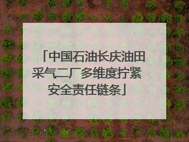 中国石油长庆油田采气二厂多维度拧紧安全责任链条