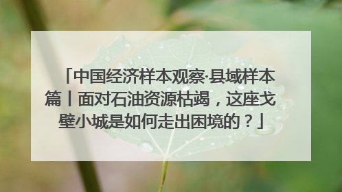 中国经济样本观察·县域样本篇丨面对石油资源枯竭，这座戈壁小城是如何走出困境的？