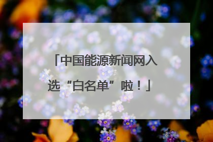 中国能源新闻网入选“白名单”啦！