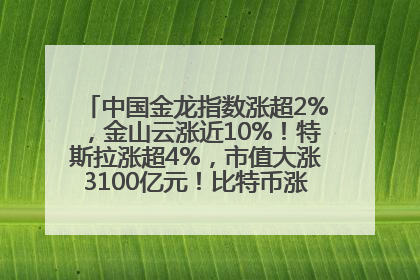 中国金龙指数涨超2%，金山云涨近10%！特斯拉涨超4%，市值大涨3100亿元！比特币涨回11万美元关口
