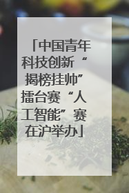 中国青年科技创新“揭榜挂帅”擂台赛“人工智能”赛在沪举办