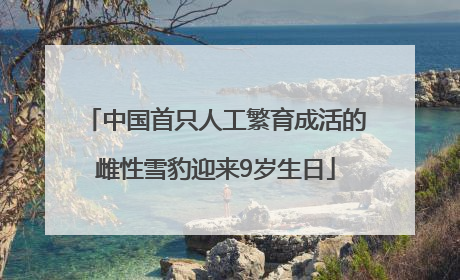 中国首只人工繁育成活的雌性雪豹迎来9岁生日