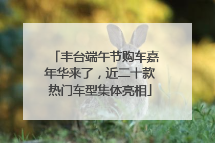 丰台端午节购车嘉年华来了，近二十款热门车型集体亮相