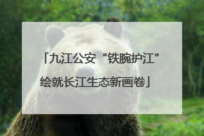 九江公安“铁腕护江”绘就长江生态新画卷
