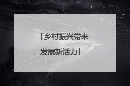 乡村振兴带来发展新活力