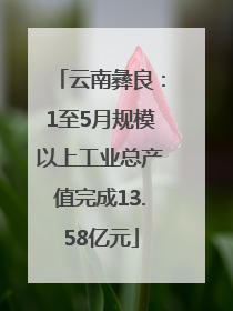云南彝良：1至5月规模以上工业总产值完成13.58亿元