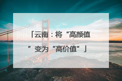 云南：将“高颜值”变为“高价值”