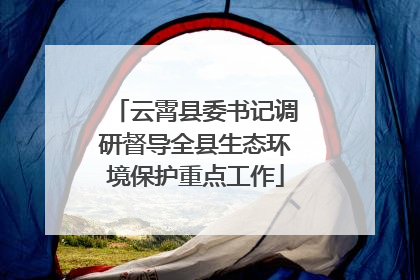 云霄县委书记调研督导全县生态环境保护重点工作