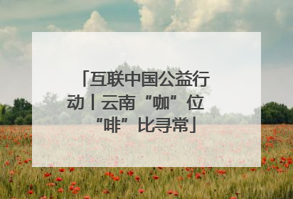 互联中国公益行动丨云南“咖”位“啡”比寻常