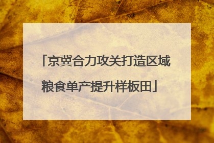 京冀合力攻关打造区域粮食单产提升样板田