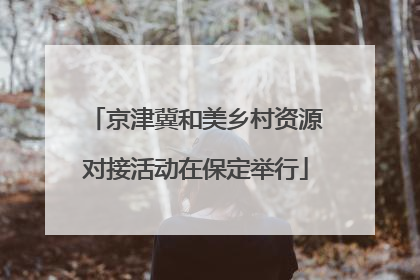 京津冀和美乡村资源对接活动在保定举行