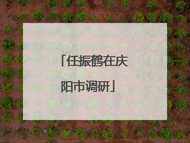 任振鹤在庆阳市调研