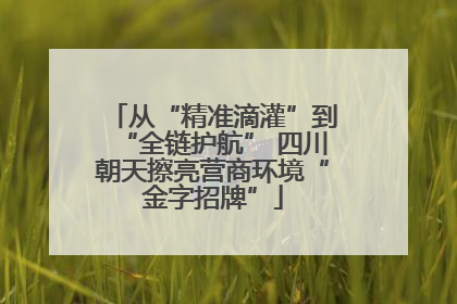 从“精准滴灌”到“全链护航” 四川朝天擦亮营商环境“金字招牌”