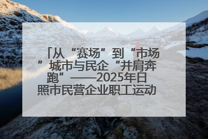 从“赛场”到“市场”城市与民企“并肩奔跑”——2025年日照市民营企业职工运动会亮点观察