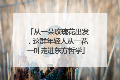从一朵玫瑰花出发，这群年轻人从一花一叶走进东方哲学