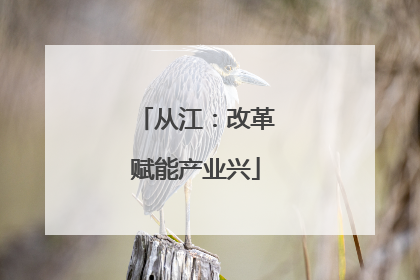 从江：改革赋能产业兴