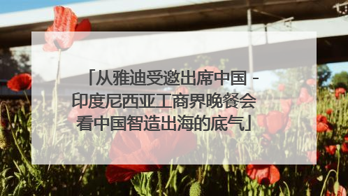 从雅迪受邀出席中国－印度尼西亚工商界晚餐会看中国智造出海的底气