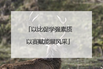 以比促学强素质 以赛赋能展风采