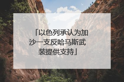 以色列承认为加沙一支反哈马斯武装提供支持