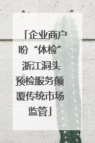 企业商户盼“体检” 浙江洞头预检服务颠覆传统市场监管