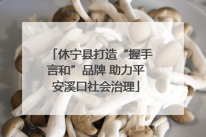 休宁县打造“握手言和”品牌 助力平安溪口社会治理