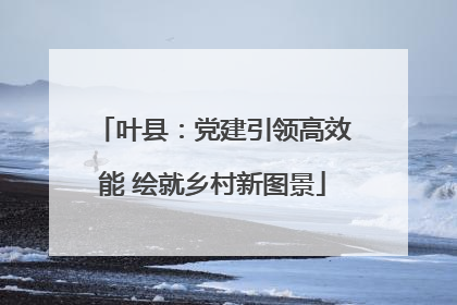 叶县：党建引领高效能 绘就乡村新图景