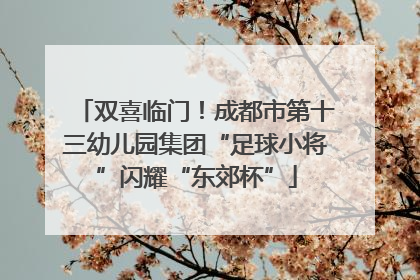 双喜临门！成都市第十三幼儿园集团“足球小将”闪耀“东郊杯”