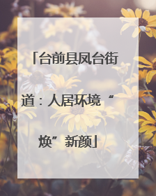 台前县凤台街道：人居环境“焕”新颜