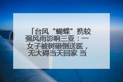 台风“蝴蝶”携较强风雨影响三亚：一女子被树砸倒送医，无大碍当天回家 当地已紧急清障