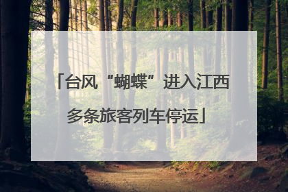 台风“蝴蝶”进入江西 多条旅客列车停运