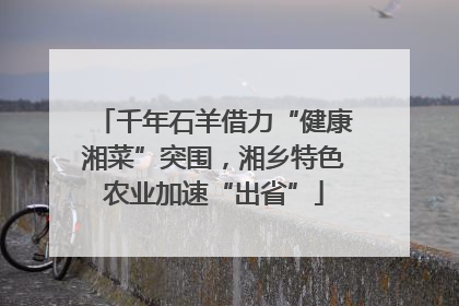 千年石羊借力“健康湘菜”突围，湘乡特色农业加速“出省”