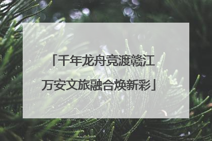 千年龙舟竞渡赣江 万安文旅融合焕新彩