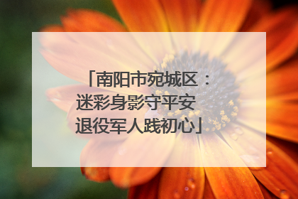 南阳市宛城区：迷彩身影守平安 退役军人践初心