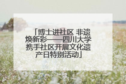 博士进社区 非遗焕新彩——四川大学携手社区开展文化遗产日特别活动