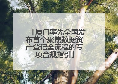 厦门率先全国发布首个聚焦数据资产登记全流程的专项合规指引