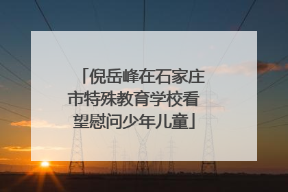 倪岳峰在石家庄市特殊教育学校看望慰问少年儿童
