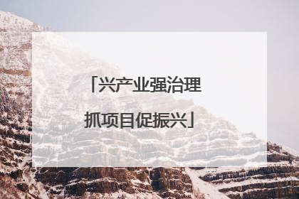 兴产业强治理 抓项目促振兴